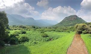 Anamalai Wildlife Tour
